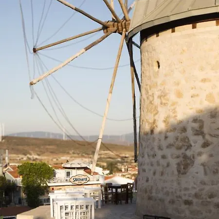 Sardunya Alaçatı