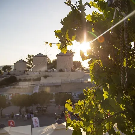 Bed & Breakfast Sardunya Alacati