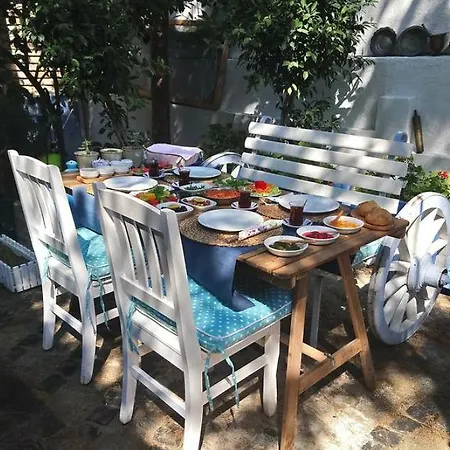 Sardunya 4* ألاتشاتي