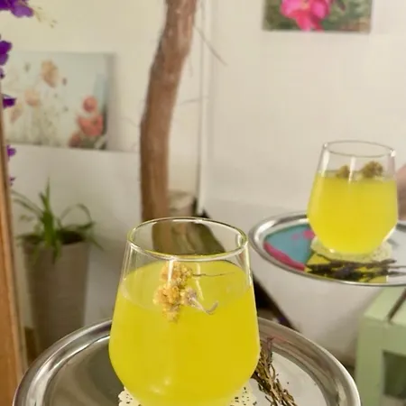 Sardunya Bed and Breakfast