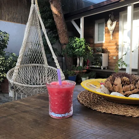 Sardunya Bed and Breakfast