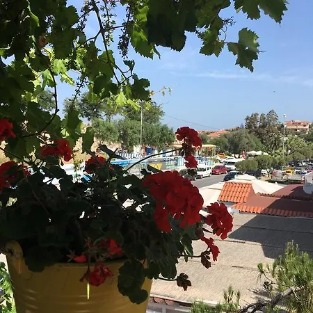 לינה וארוחת בוקר Sardunya