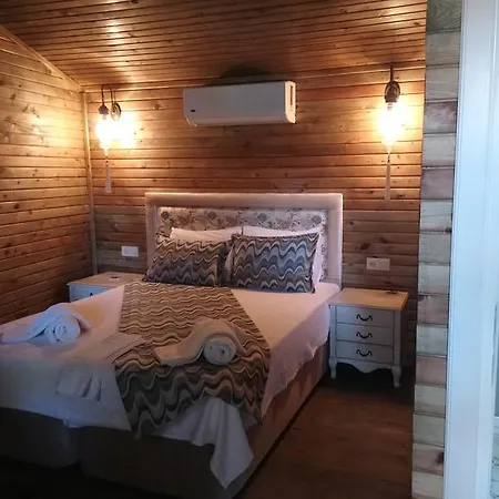 Sardunya 4* ألاتشاتي