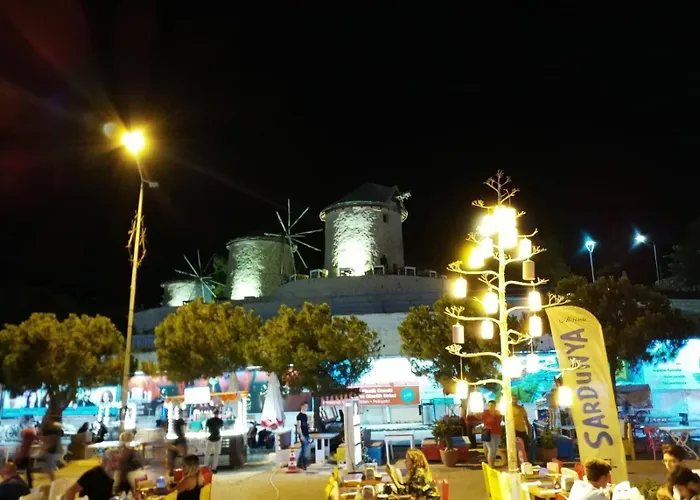 Oda ve Kahvaltı Sardunya