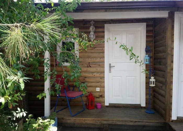 Oda ve Kahvaltı Sardunya