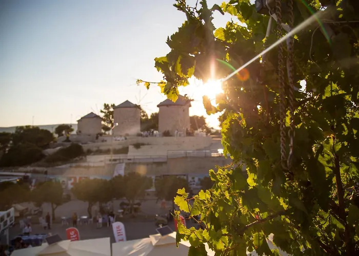 Oda ve Kahvaltı Sardunya