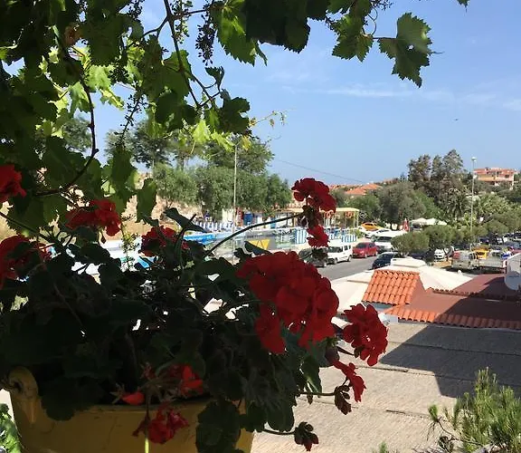 Oda ve Kahvaltı Sardunya