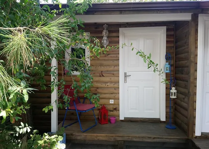 Oda ve Kahvaltı Sardunya